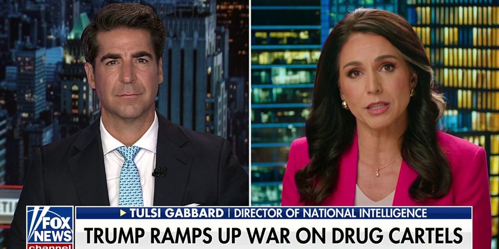 Dem Party is ‘undermining’ the very foundation of America: DNI Tulsi Gabbard | Fox News Video