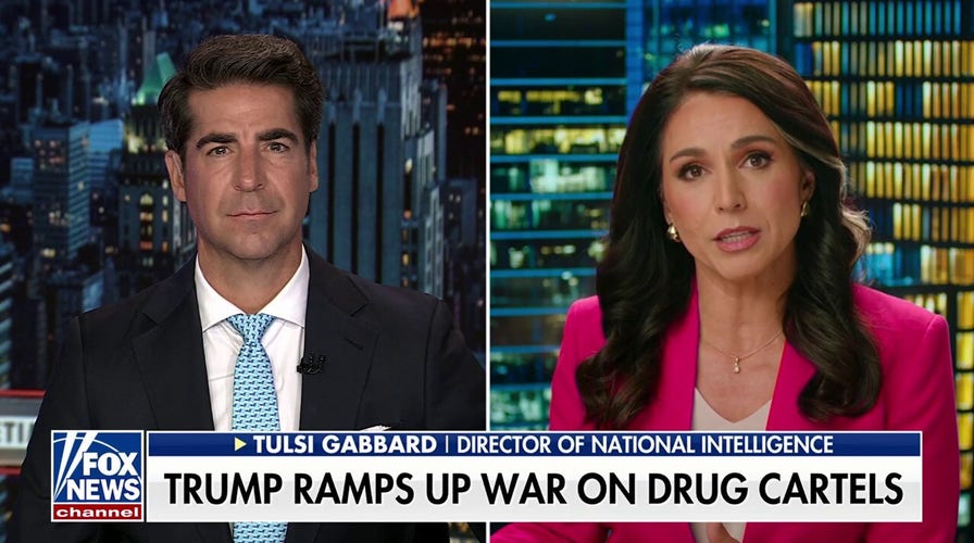 Dem Party is ‘undermining’ the very foundation of America: DNI Tulsi Gabbard