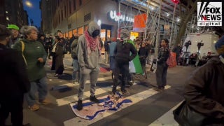 NYU anti-Israel protesters form human chains as police move in - Fox News