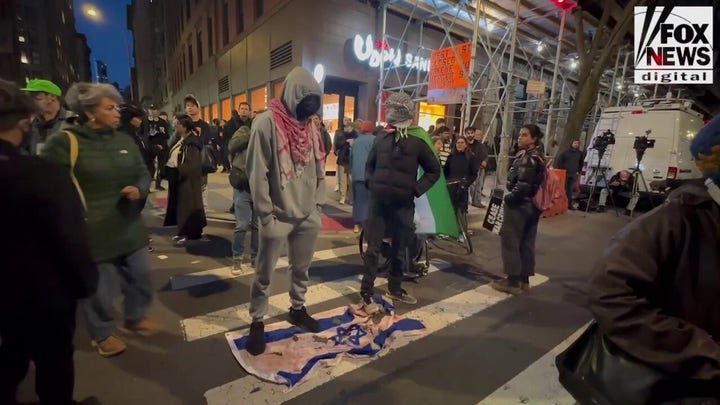 NYU anti-Israel protesters form human chains as police move in