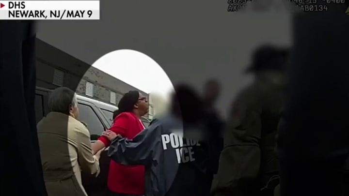 "They need chaos': Democrats shredded after backing lawmaker facing charges in ICE scuffle