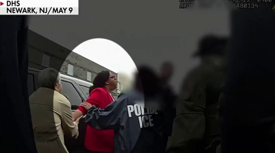 'They need chaos': Democrats shredded after backing lawmaker facing charges in ICE scuffle
