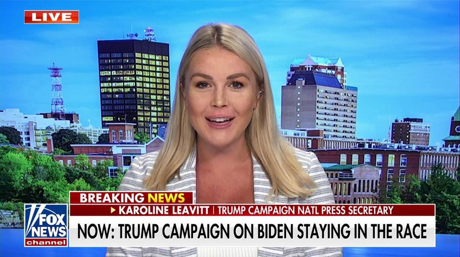 The Democratic Party is 'collapsing' around Biden: Karoline Leavitt