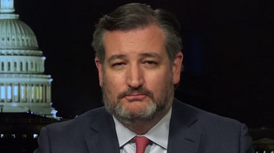 Ted Cruz slams Dems gun control proposal as 'disarming victims'