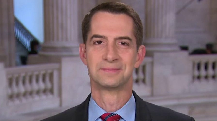 Tom Cotton: Democrats are only provoking more illegal border crossings