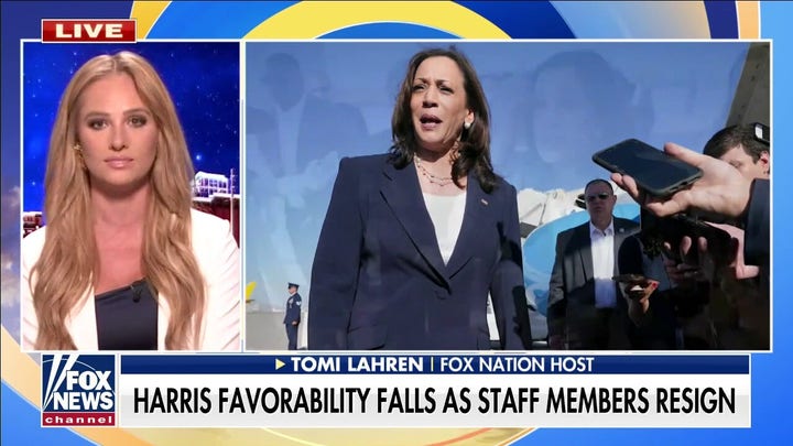 Tomi Lahren: Kamala Harris just wants to collect a paycheck and work on a future presidential career
