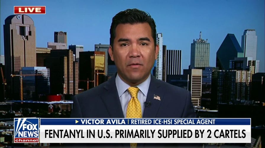 US doing ‘absolutely nothing’ to stop ‘out of control’ fentanyl border crossings: Retired ICE agent