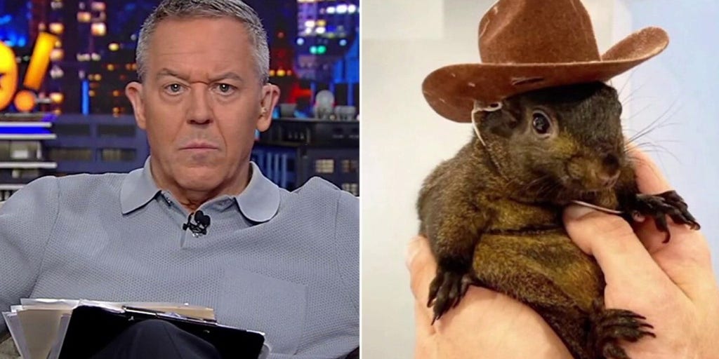 New York state officials antagonized a terrified squirrel, says Greg Gutfeld