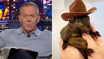 GREG GUTFELD: You 'red pill' Americans by raiding their homes and murdering their pets - Fox News