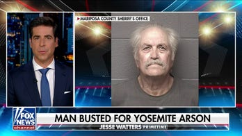 Are arsonists responsible for global wildfires? 