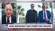 Elon Musk ‘frustrated’ by DOGE cuts being blocked by ‘Washington interests,’ biographer says