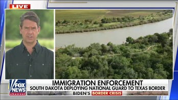Border Patrol says most illegal immigrants 'surrender' after crossing into US