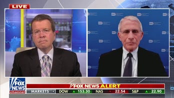 Fauci claims to have 'absolutely nothing to hide or nothing to be concerned about' in Congressional hearing