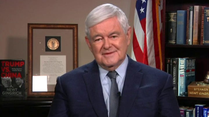 Gingrich talks Trump's India visit, growing radical wing of the Democrat Party