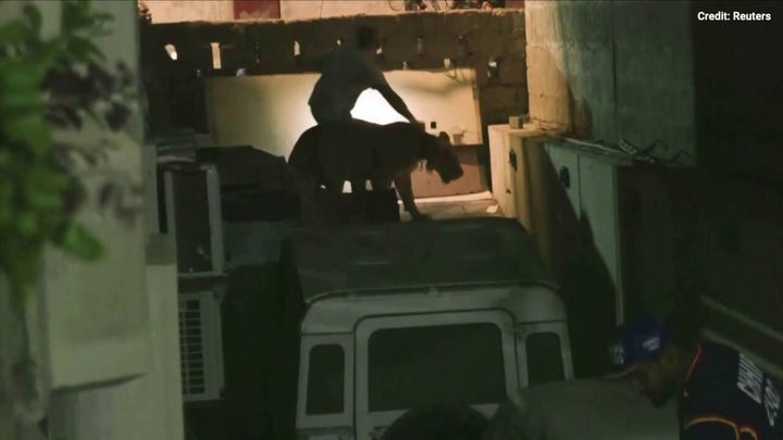 Lion captured after stroll through Karachi traffic