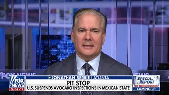 FDA investigates foodborne illness outbreaks as US suspends Mexican avocado inspections