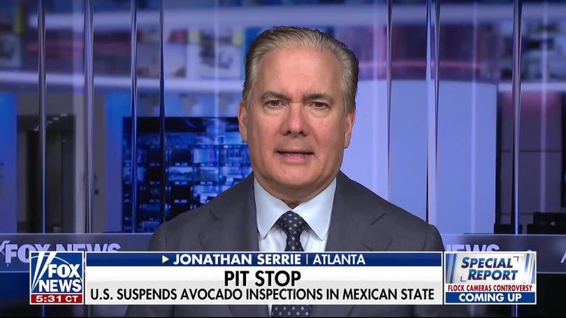 FDA investigates foodborne illness outbreaks as US suspends Mexican avocado inspections