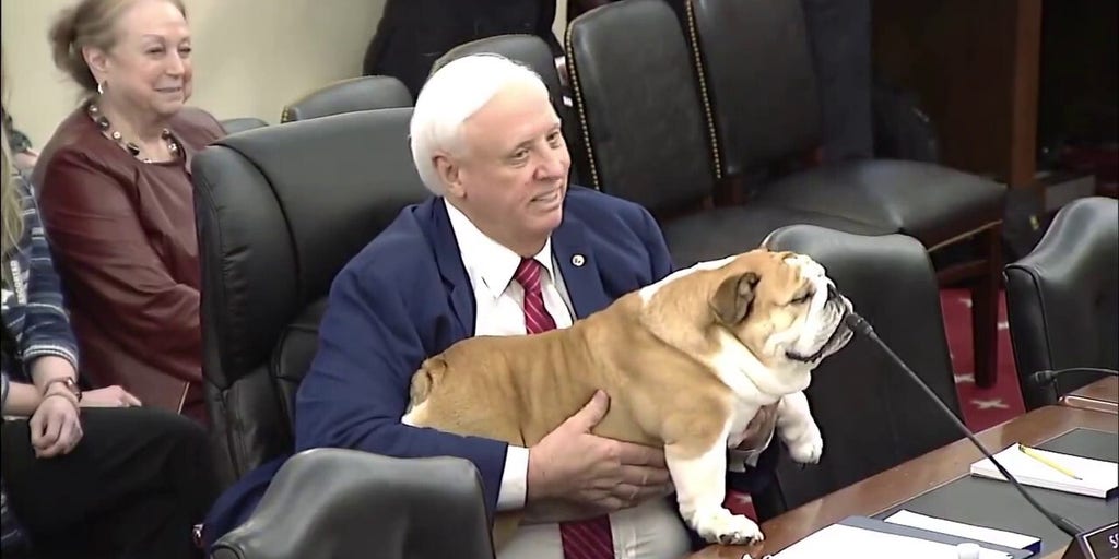 Babydog 'not up for auction' at Senate Agriculture hearing