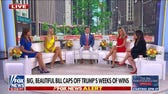 Democratic strategist admits her party has a messaging problem