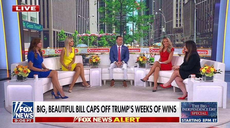 Democratic strategist admits her party has a messaging problem