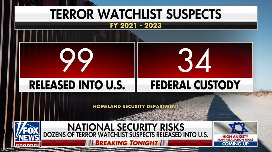 Almost 100 terror suspects released into US after border apprehensions