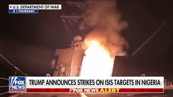 US launches strikes against ISIS in Nigeria