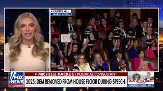 Political consultant says she ‘wouldn't be shocked’ to see ‘political theater’ from Democrats at SOTU
