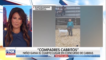 ¡Un niño y su cabra conquistan corazones!