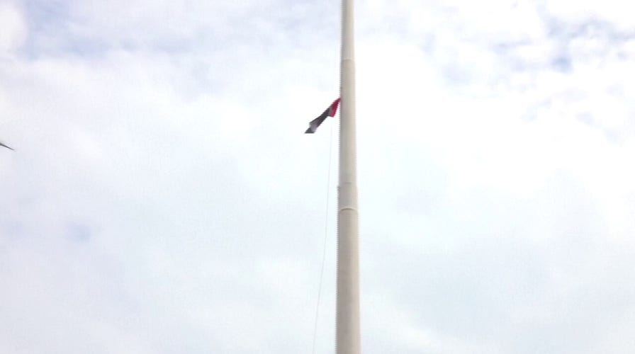 Anti-Israel protesters raise Palestinian flag, burn effigy during Netanyahu's Washington visit