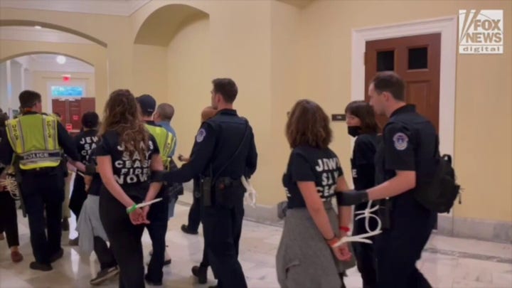 Pro-Palestinian Capitol Hill protestors chant 'not in our name' while in custody
