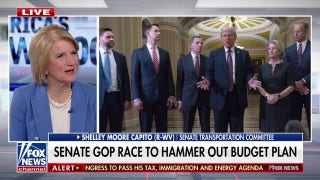 Senate Republicans debate spending cuts for budget plan  - Fox News