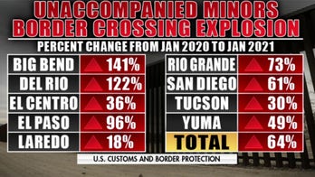 Biden administration needs to acknowledge border 'crisis,' former Trump and Obama immigration official warns