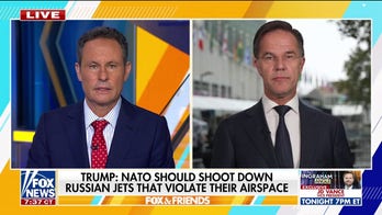 Putin spokesperson dismisses Trump's 'paper tiger' comment