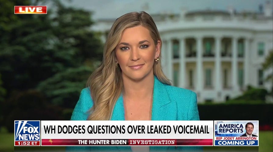 Pavlich: People deserve answers on Biden's conversations with son