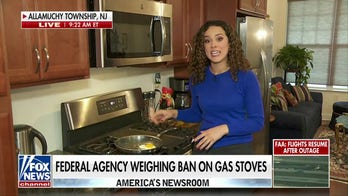 How do Americans feel about a possible ban on gas stoves?