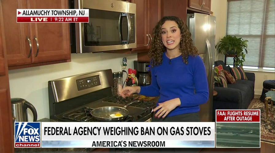 How do Americans feel about a possible ban on gas stoves?