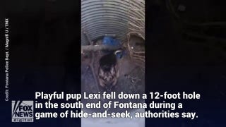 German shepherd rescued from 12-foot hole in California - Fox News
