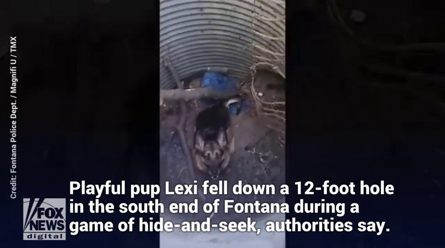 German shepherd rescued from 12-foot hole in California