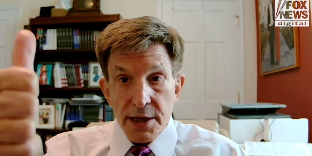 Allan Lichtman predicts Kamala Harris as 2024 presidential election winner Fox News Video