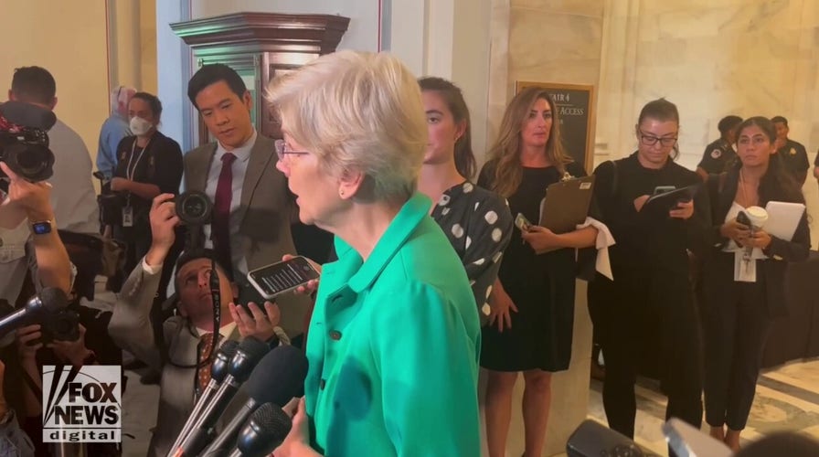 Warren blasts closed-door Senate AI meeting, calls for immediate regulation