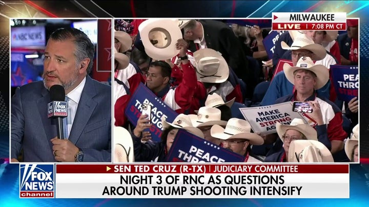 Ted Cruz: Briefing call was utterly maddening in aftermath of Trump assassination attempt