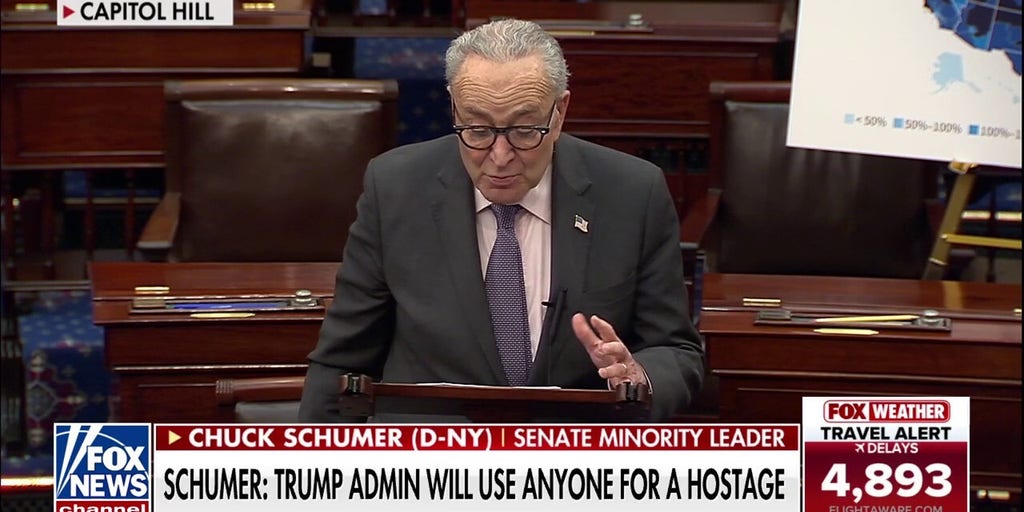 Schumer calls Trump administration ‘viciously cruel,' says they use ‘anybody for hostage’