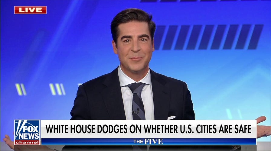 Jesse Watters on rising crime: 'You look at this on the television every day' 