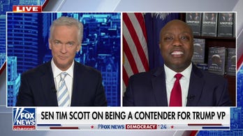 Democrats are ‘losing their minds because they are losing their voters’: Sen. Tim Scott
