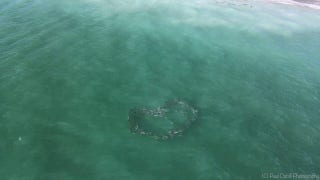 Drone footage shows school of fish swimming in heart shape - Fox News