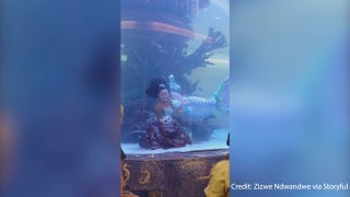 Quick thinking ‘mermaid’ escapes drowning after tail gets caught in aquarium tank - Fox News