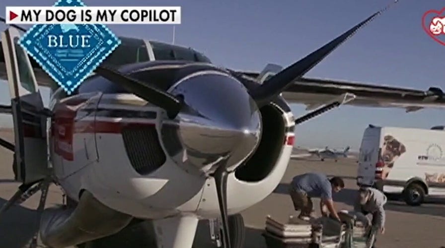 Wyoming non-profit flies rescue dogs to their forever homes