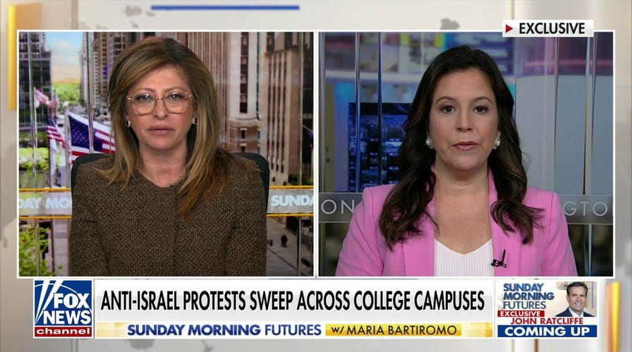 There is a crisis in higher education: Rep. Elise Stefanik