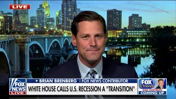 Democrats are trying to ‘find a narrative’ to fit their agenda: Brian Brenberg
