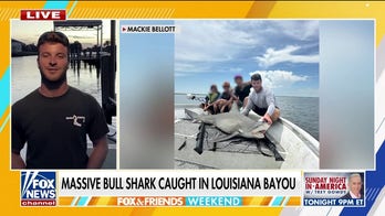 Fishing charter captain describes experience of reeling catching massive bull shark: 'Pretty crazy'